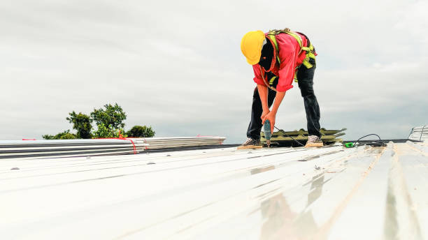 Best Roof Moss and Algae Removal  in Chetopa, KS